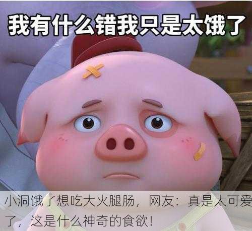 小洞饿了想吃大火腿肠，网友：真是太可爱了，这是什么神奇的食欲！