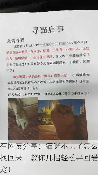 有网友分享：猫咪不见了怎么找回来，教你几招轻松寻回爱宠！