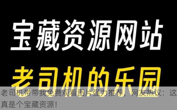 老司机带带我免费观看图片强力推荐，网友热议：这真是个宝藏资源！