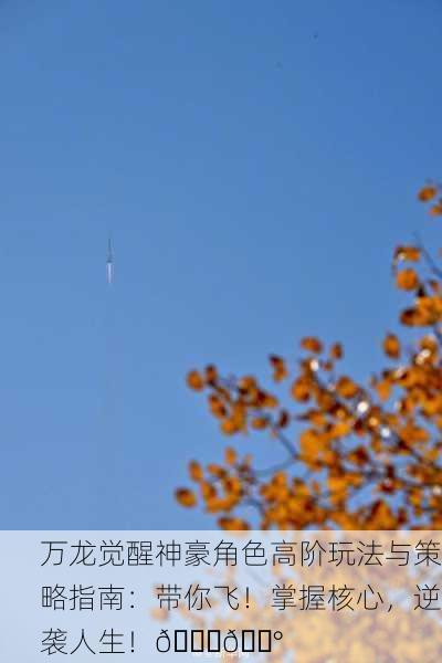 万龙觉醒神豪角色高阶玩法与策略指南：带你飞！掌握核心，逆袭人生！🚀💰