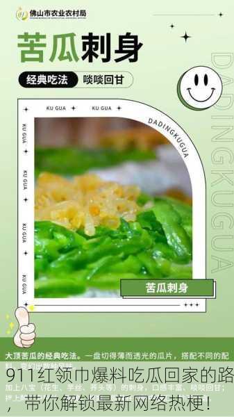 911红领巾爆料吃瓜回家的路，带你解锁最新网络热梗！