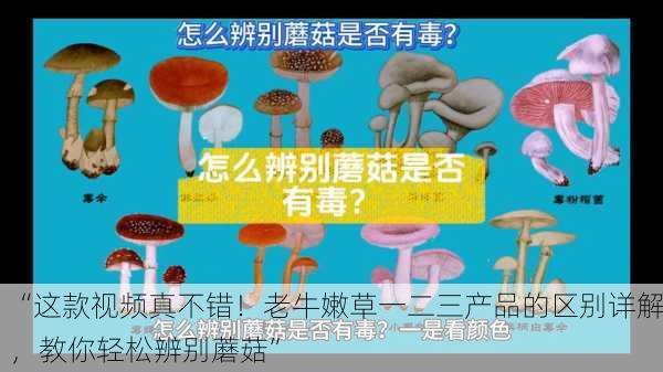 “这款视频真不错！老牛嫩草一二三产品的区别详解，教你轻松辨别蘑菇”