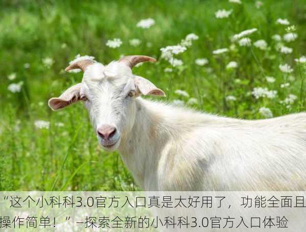 “这个小科科3.0官方入口真是太好用了，功能全面且操作简单！”—探索全新的小科科3.0官方入口体验