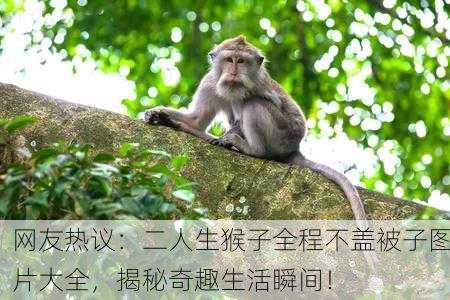 网友热议：二人生猴子全程不盖被子图片大全，揭秘奇趣生活瞬间！