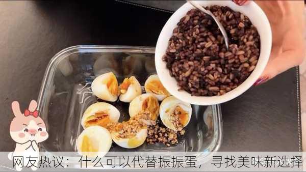 网友热议：什么可以代替振振蛋，寻找美味新选择！