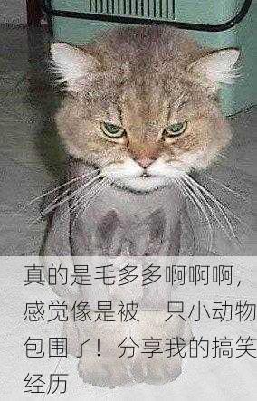 真的是毛多多啊啊啊，感觉像是被一只小动物包围了！分享我的搞笑经历