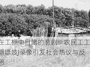 在工棚中目睹的悲剧：农民工工棚嫖妓J录像引发社会热议与反思