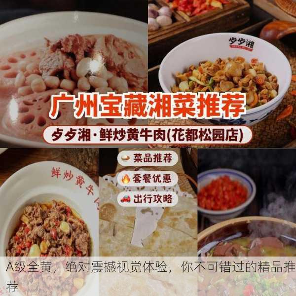 A级全黄，绝对震撼视觉体验，你不可错过的精品推荐