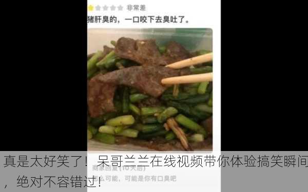 真是太好笑了！呆哥兰兰在线视频带你体验搞笑瞬间，绝对不容错过！