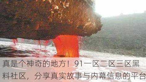 真是个神奇的地方！91一区二区三区黑料社区，分享真实故事与内幕信息的平台