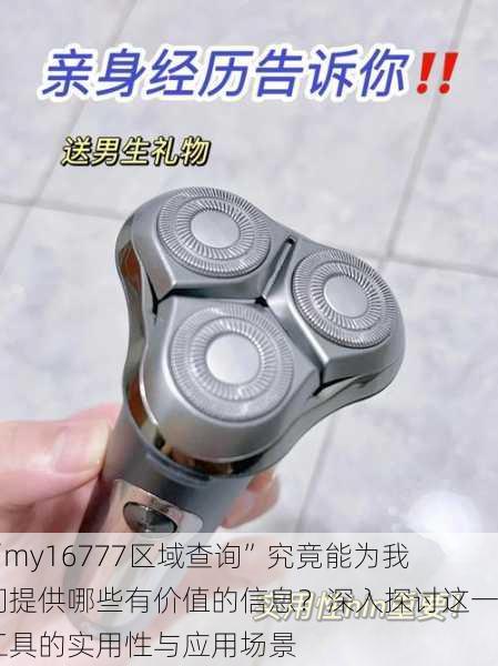 “my16777区域查询”究竟能为我们提供哪些有价值的信息？深入探讨这一工具的实用性与应用场景