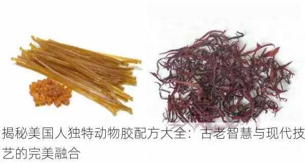 揭秘美国人独特动物胶配方大全：古老智慧与现代技艺的完美融合