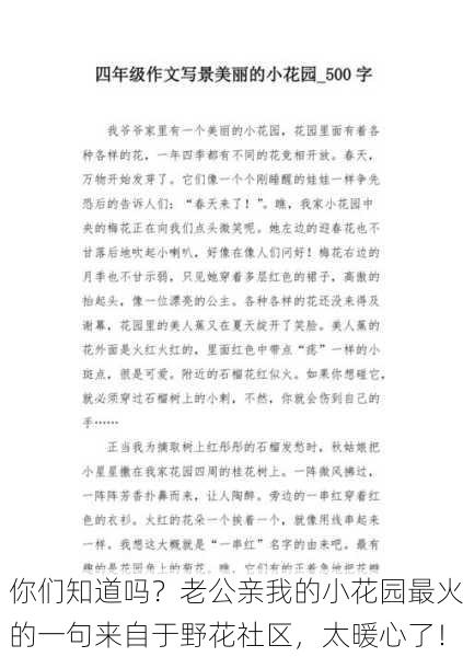 你们知道吗？老公亲我的小花园最火的一句来自于野花社区，太暖心了！
