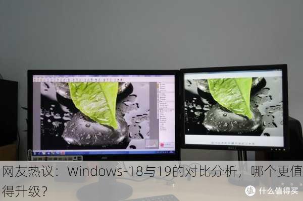 网友热议：Windows-18与19的对比分析，哪个更值得升级？