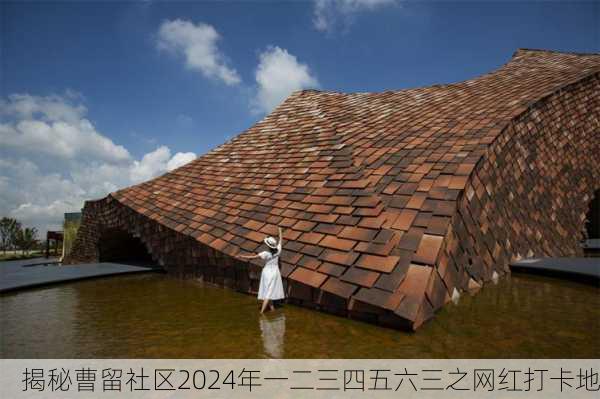 揭秘曹留社区2024年一二三四五六三之网红打卡地