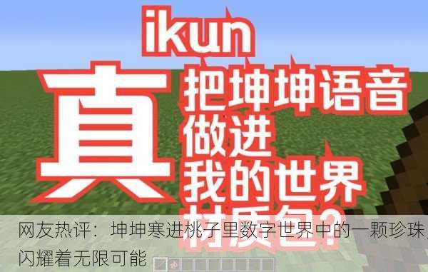 网友热评：坤坤寒进桃子里数字世界中的一颗珍珠，闪耀着无限可能