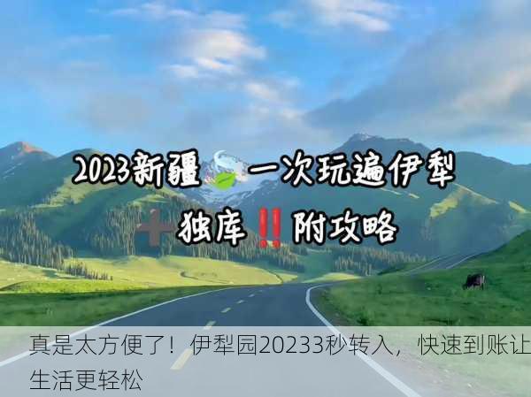 真是太方便了！伊犁园20233秒转入，快速到账让生活更轻松