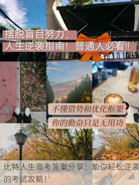 比特人生高考答案分享：助你轻松逆袭的考试攻略！