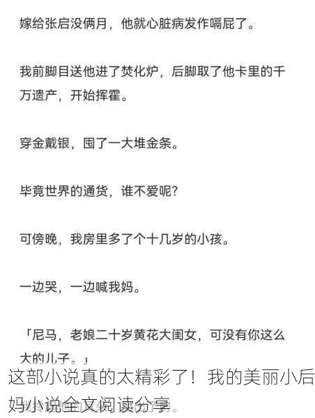 这部小说真的太精彩了！我的美丽小后妈小说全文阅读分享