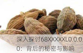 深入探讨68XXXXXL0.0.0.0：背后的秘密与影响