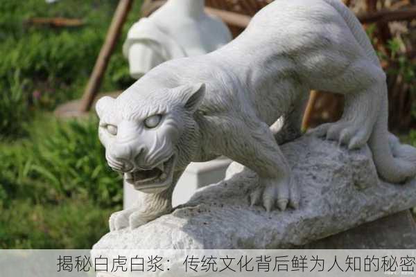 揭秘白虎白浆：传统文化背后鲜为人知的秘密