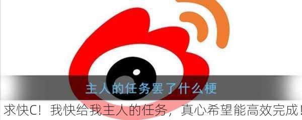 求快C！我快给我主人的任务，真心希望能高效完成！