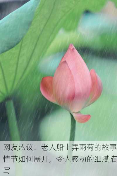 网友热议：老人船上弄雨荷的故事情节如何展开，令人感动的细腻描写