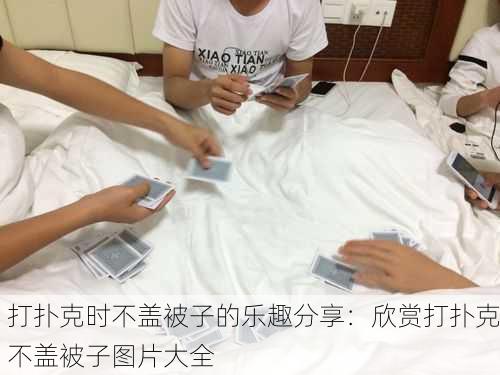 打扑克时不盖被子的乐趣分享：欣赏打扑克不盖被子图片大全
