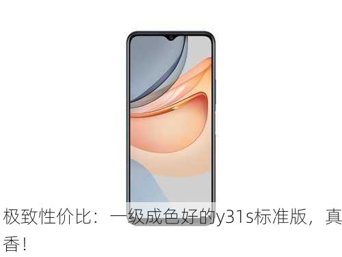 极致性价比：一级成色好的y31s标准版，真香！