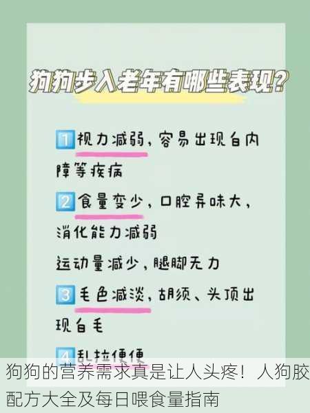 狗狗的营养需求真是让人头疼！人狗胶配方大全及每日喂食量指南