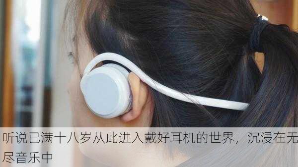 听说已满十八岁从此进入戴好耳机的世界，沉浸在无尽音乐中