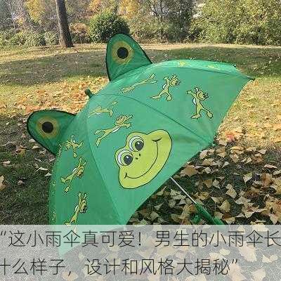 “这小雨伞真可爱！男生的小雨伞长什么样子，设计和风格大揭秘”