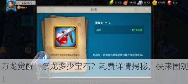 万龙觉醒一条龙多少宝石？耗费详情揭秘，快来围观！