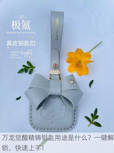 万龙觉醒精铸钥匙用途是什么？一键解锁，快速上手！