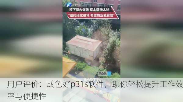 用户评价：成色好p31s软件，助你轻松提升工作效率与便捷性