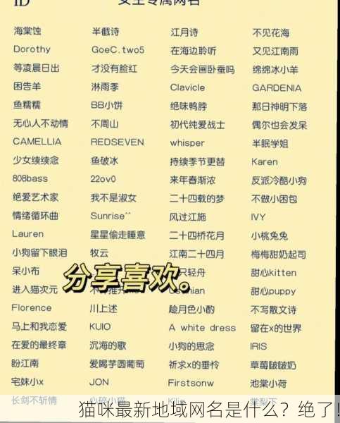 猫咪最新地域网名是什么？绝了！