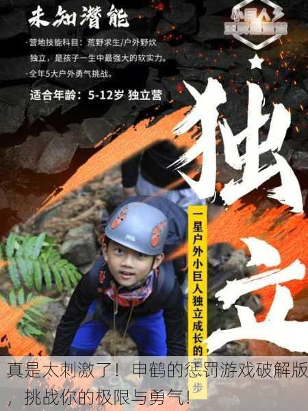 真是太刺激了！申鹤的惩罚游戏破解版，挑战你的极限与勇气！