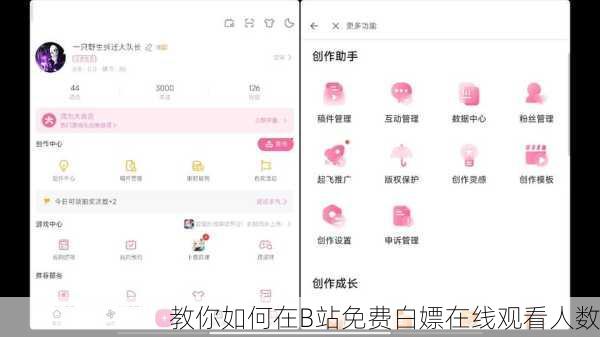 教你如何在B站免费白嫖在线观看人数