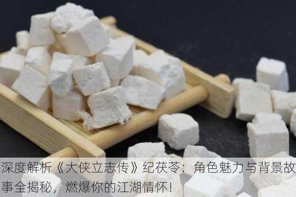 深度解析《大侠立志传》纪茯苓：角色魅力与背景故事全揭秘，燃爆你的江湖情怀！