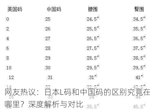 网友热议：日本L码和中国码的区别究竟在哪里？深度解析与对比