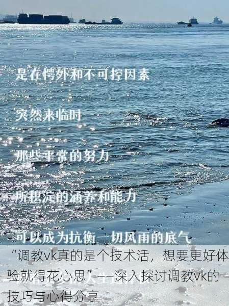 “调教vk真的是个技术活，想要更好体验就得花心思”——深入探讨调教vk的技巧与心得分享