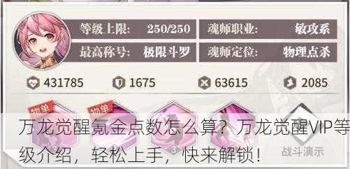 万龙觉醒氪金点数怎么算？万龙觉醒VIP等级介绍，轻松上手，快来解锁！