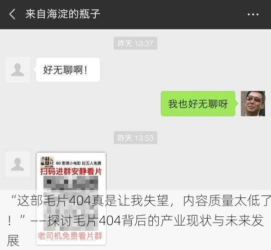 “这部毛片404真是让我失望，内容质量太低了！”——探讨毛片404背后的产业现状与未来发展