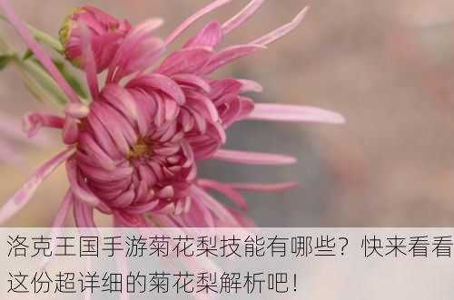 洛克王国手游菊花梨技能有哪些？快来看看这份超详细的菊花梨解析吧！