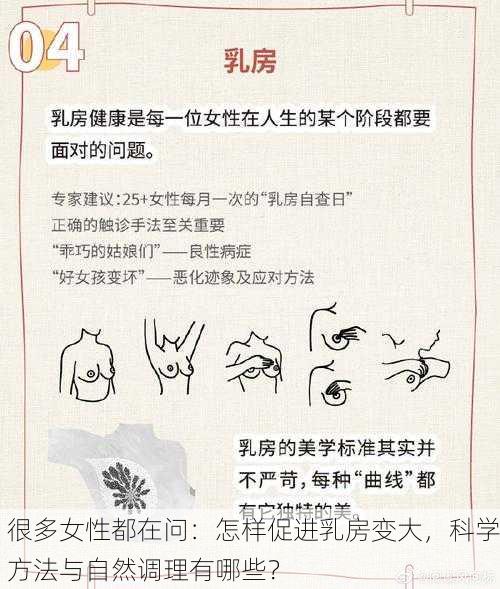 很多女性都在问：怎样促进乳房变大，科学方法与自然调理有哪些？