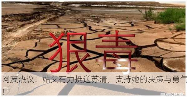 网友热议：姑父有力挺送苏清，支持她的决策与勇气！