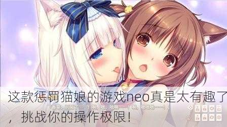 这款惩罚猫娘的游戏neo真是太有趣了，挑战你的操作极限！