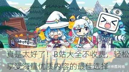 真是太好了！B站大全不收费，轻松享受海量优质内容的最佳选择