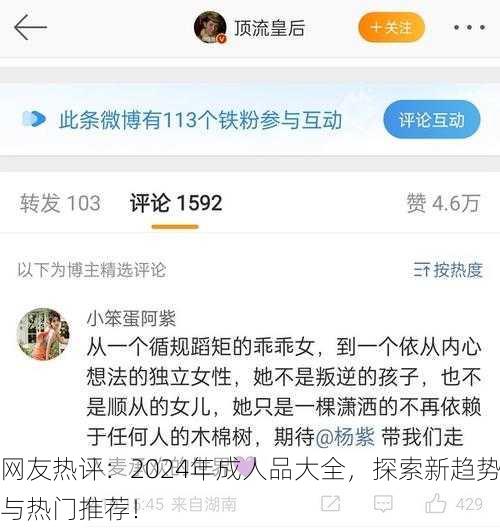 网友热评：2024年成人品大全，探索新趋势与热门推荐！
