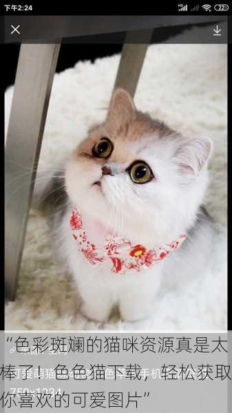 “色彩斑斓的猫咪资源真是太棒了！色色猫下载，轻松获取你喜欢的可爱图片”